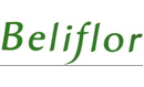 logo beliflor 