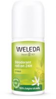 Déodorant roll-on 24h Citrus