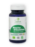 Dol'aroma 40 capsules muscles et articulations