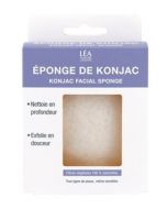 Éponge de Konjac