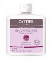 Shampooing Lait Capillaire au Bambou - Cheveux Secs - 250 ml