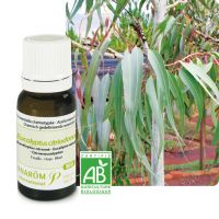 Huile Essentielle Bio d'Eucalyptus Citronné 10ml