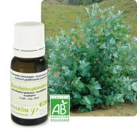 Huile Essentielle Bio Eucalyptus globulus 10ml