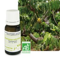 Huile Essentielle Bio Ylang-Ylang 5ml
