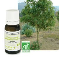 Huile essentielle Bio Ravintsara 10 ml