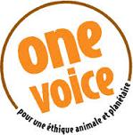 logo One Voice